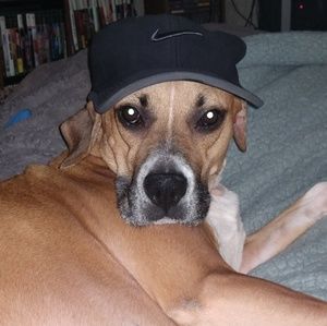 Meet your Posher, Kyle